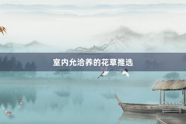 室内允洽养的花草推选