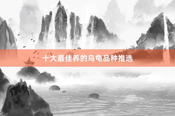 十大最佳养的乌龟品种推选