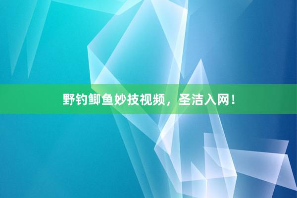 野钓鲫鱼妙技视频，圣洁入网！