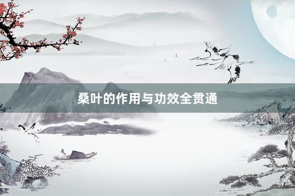 桑叶的作用与功效全贯通